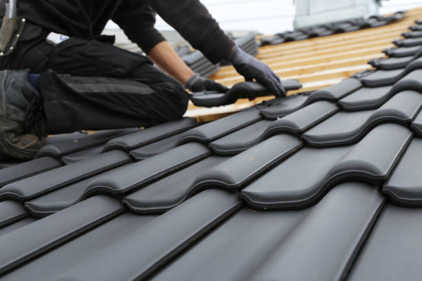 Best Solar Panel Roofing Installation  in Palmer, AK